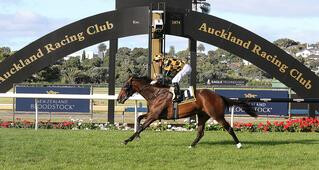 Probabeel (NZ), dominating last year's Karaka Million 2YO. 